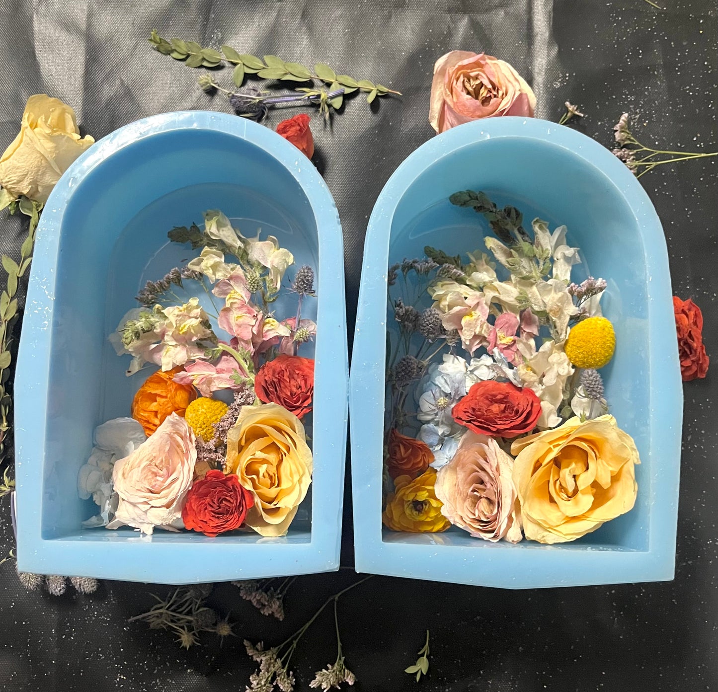 Allie custom Arches